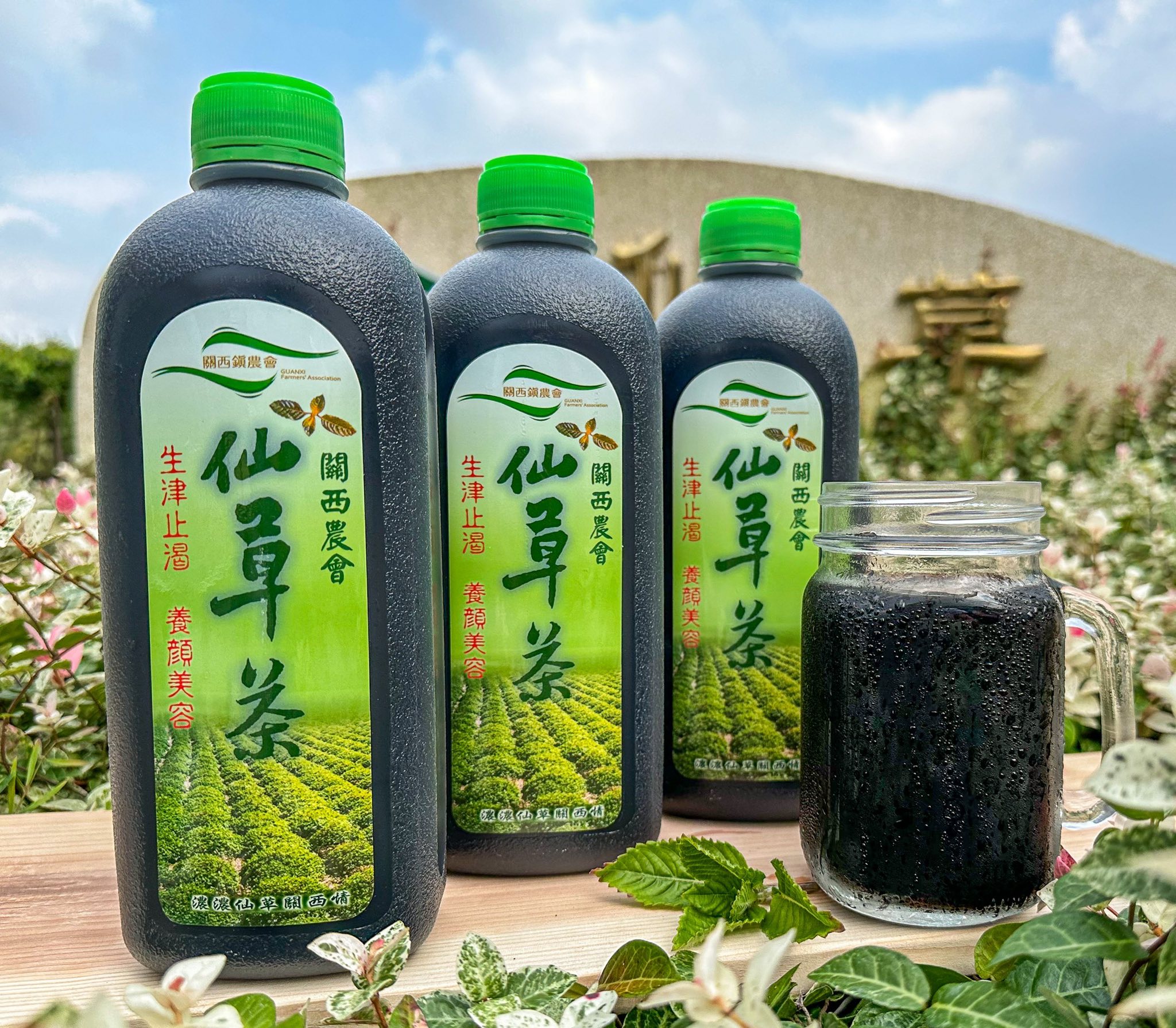 <strong>關西農會微糖大仙草茶</strong>